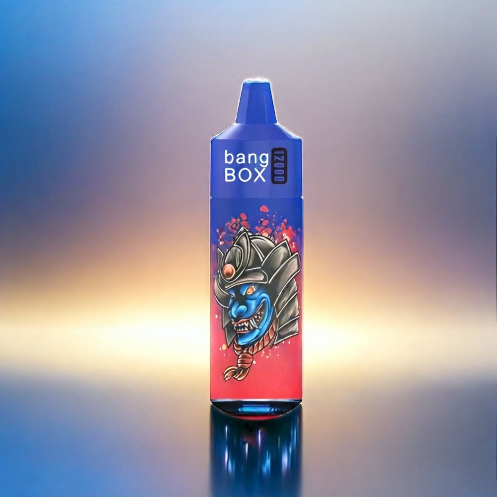 Bang Box 12000 Puffs France Grosiste e-liquide 23ml 650mAh Type-C PC 5V 1A Glace Myrtille