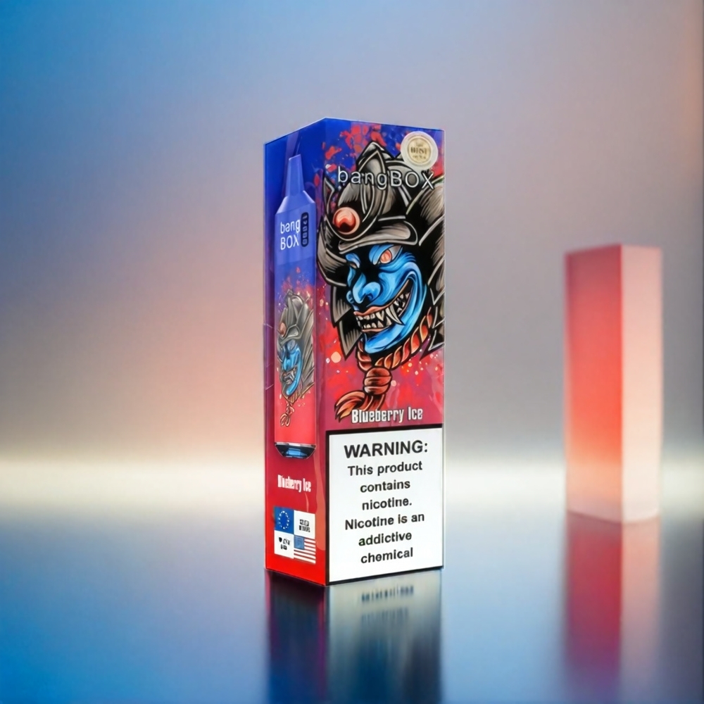 Bang Box 12000 Puffs France Grosiste e-liquide 23ml 650mAh Type-C PC 5V 1A Glace Myrtille