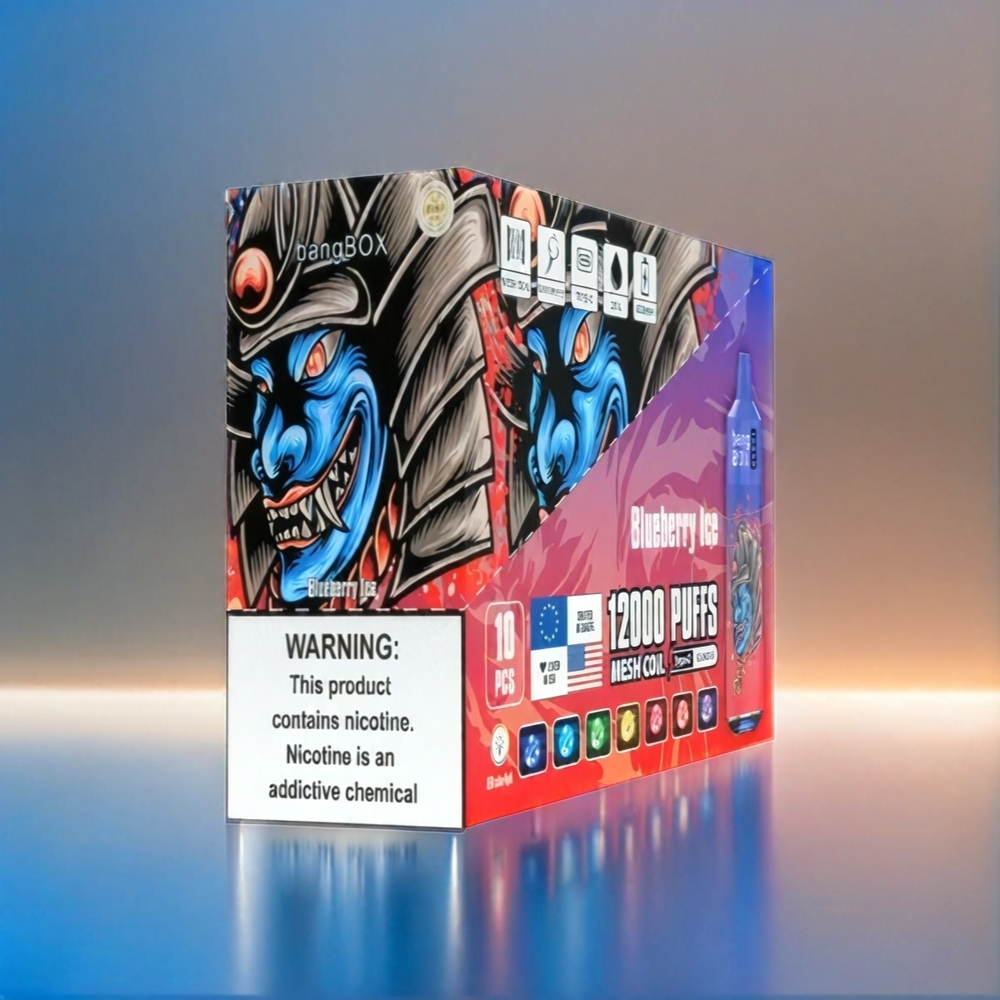 Bang Box 12000 Puffs France Grosiste e-liquide 23ml 650mAh Type-C PC 5V 1A Glace Myrtille