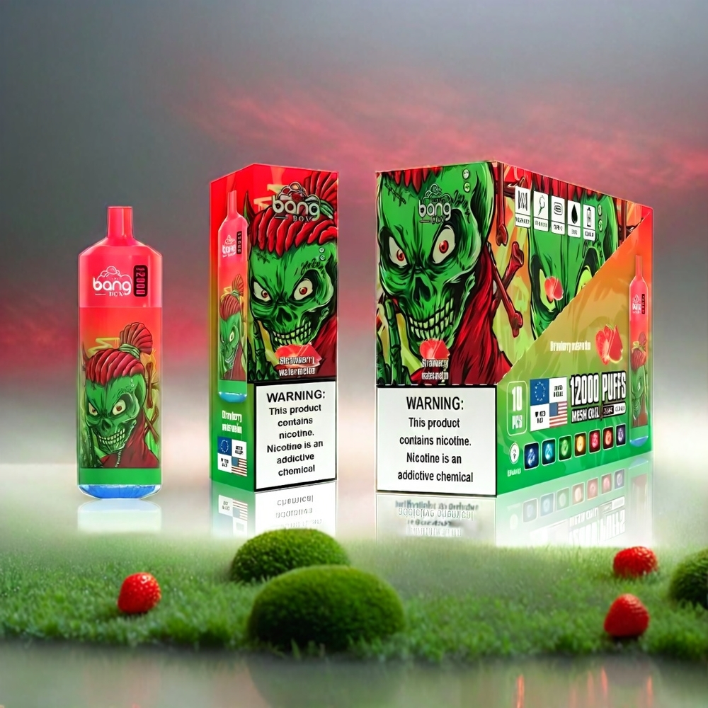 Bang Box 12000 Puffs France Grossiste Vape Fense Pastèque (23 ml, 650mAh, Type-C)