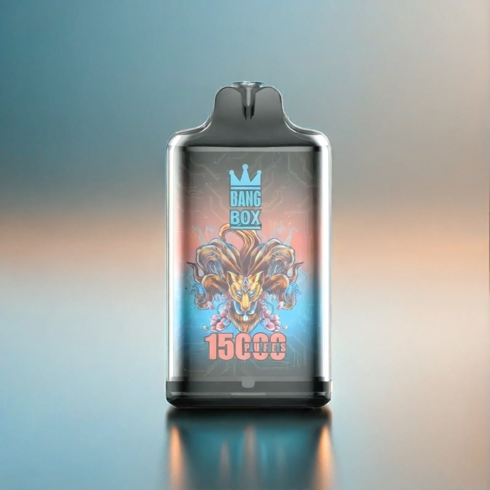 Bang Box 15000 Puffs France Grosiste 23ml 650mAh Glace à la Pêche Type-C