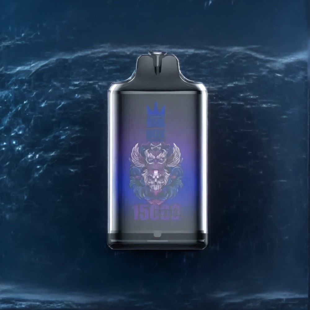 Bang Box 15000 Puffs France Grosiste AVEC 23ml e-liquide et USB Type-C - Dragon Noir Glace