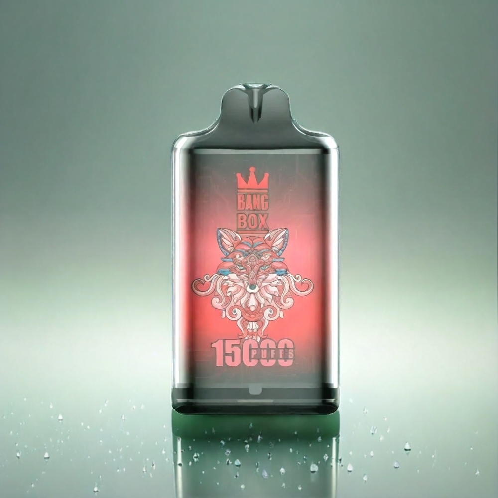 Bang Box 15000 Puffs France Grosiste - Eau Glacée à la Pastèque, 23 ml, 650mAh, Type-C