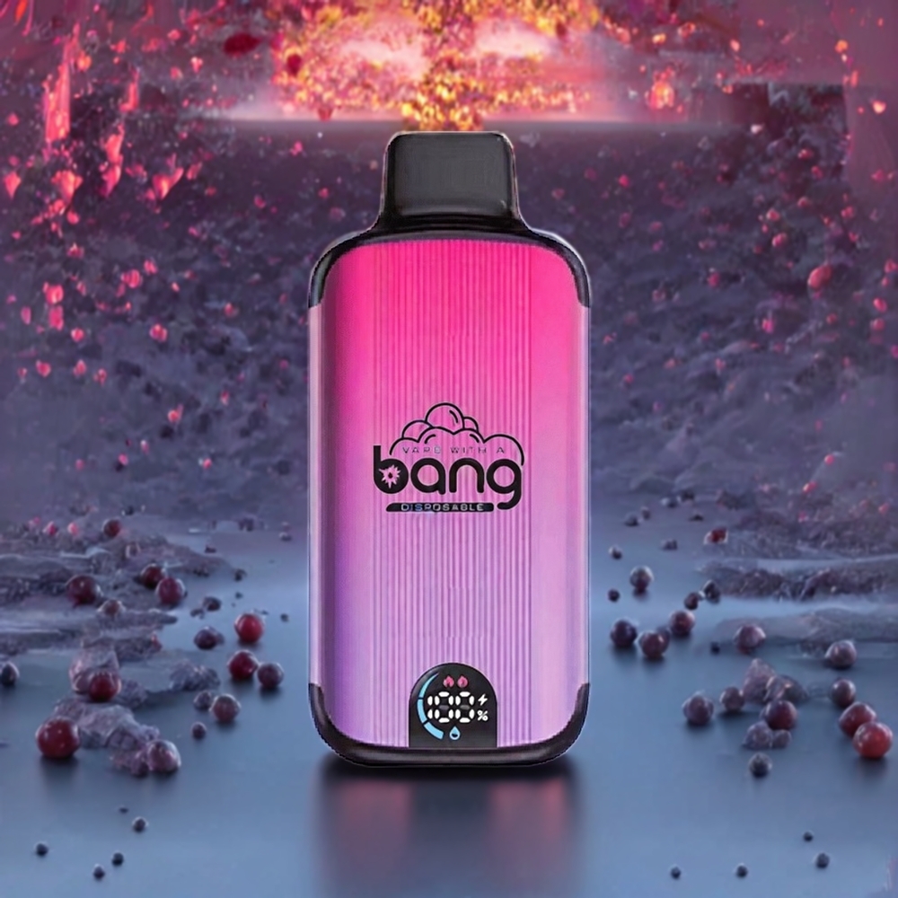 Bang 20000 Puffs France Grossiste - Vape Jetable avec 13400mAh, Port Type-C et Glace Raisin
