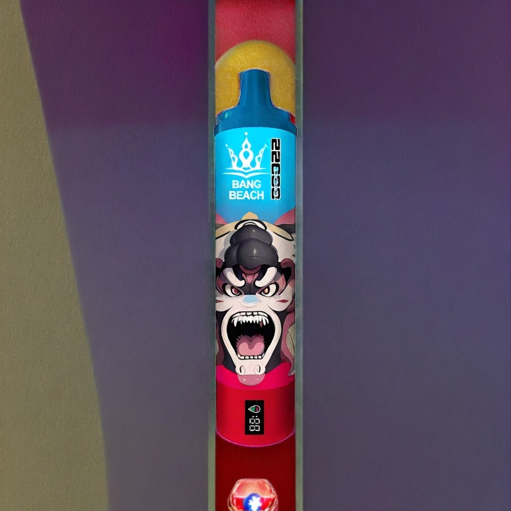Bang Beach 22000 Puffs France Grossiste - Baies Mixtes, 36ml, 650mAh, 0%/2%/3%/5%