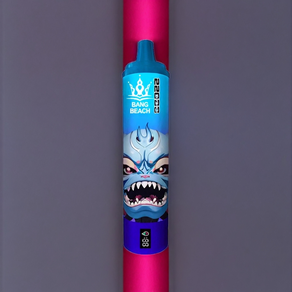 Bang Beach 22000 Puffs France Grossiste Vape jetable Myrtille Framboise 36ml 650mAh