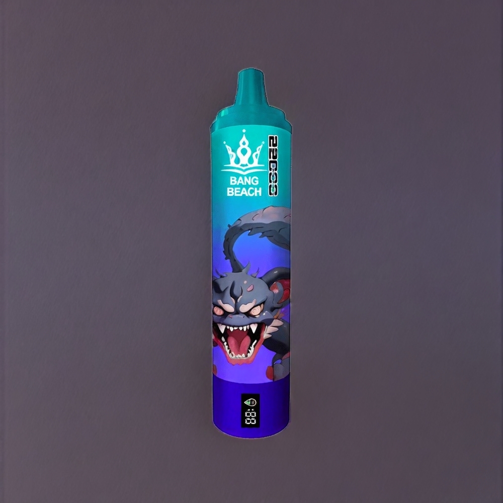 Bang Beach 22000 Puffs France grossiste - 36ml 650mAh Glace Raisin
