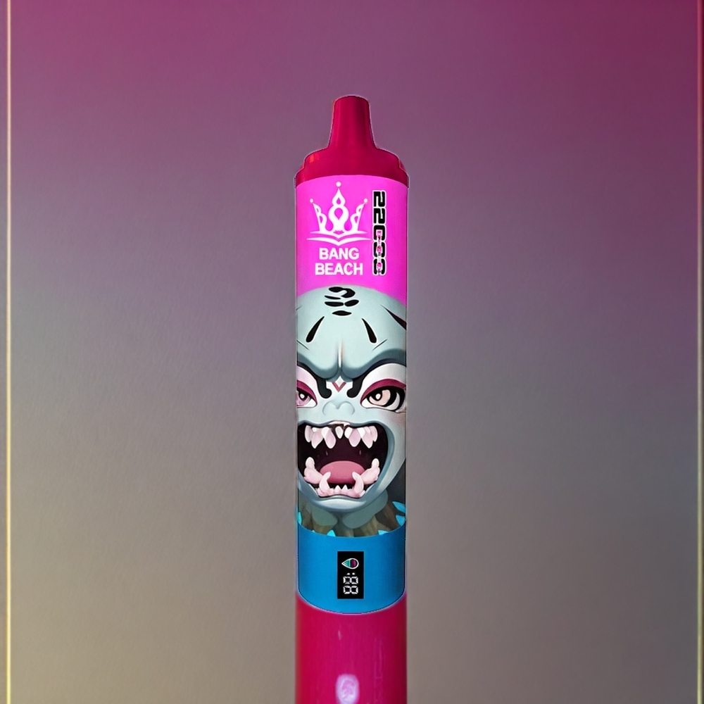 Bang Beach 22000 Puffs France grossiste - Citronade Rose (36ml, 650mAh)