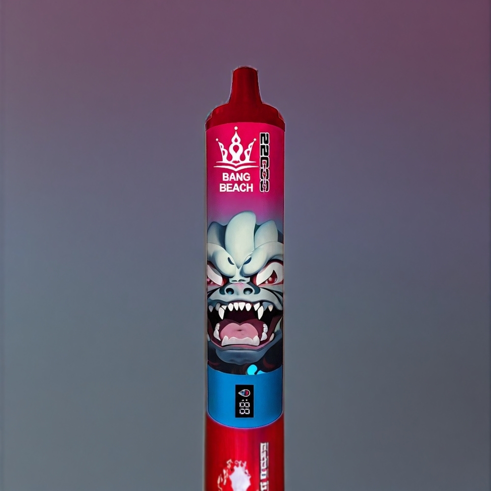 Bang Beach 22000 Puffs France grossiste - Dispositif à Puff Jetable Cerise - 36ml, 650mAh, 0%/2%/3%/5%