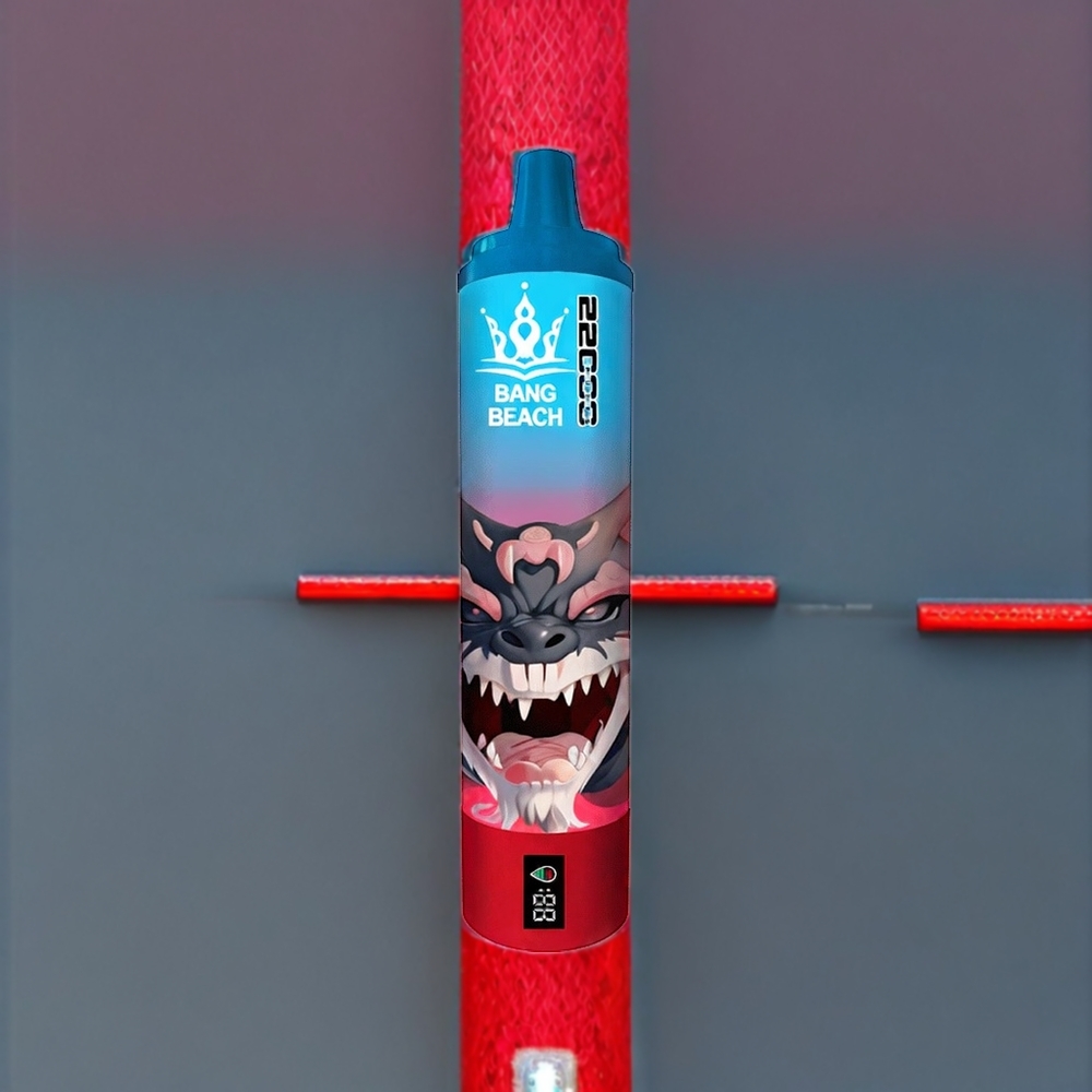 Bang Beach 22000 Puffs France grossiste - Fraise Pastèque (36ml, 650mAh)