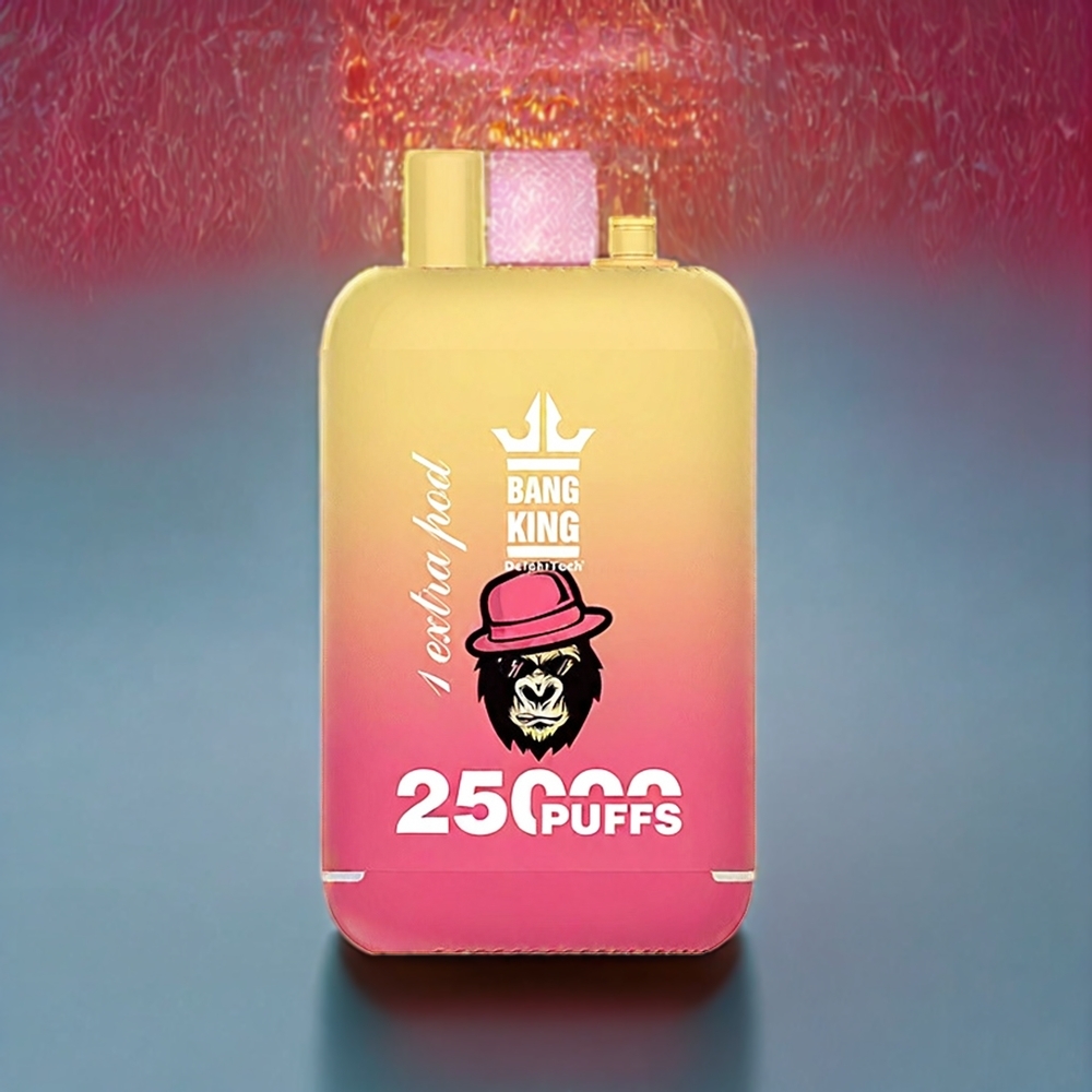 Bang King 25000 Puffs France Grossiste - Dispositif Jetable Double Pod (46ml, 650mAh, Type-C) Pêche Juteuse Glacée