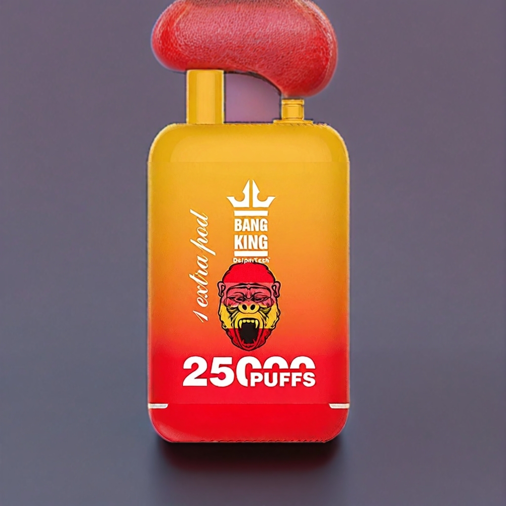 Bang King 25000 Puffs France Grossiste - Double Pod System 46ml 650mAh Type-C Fraise Mangue