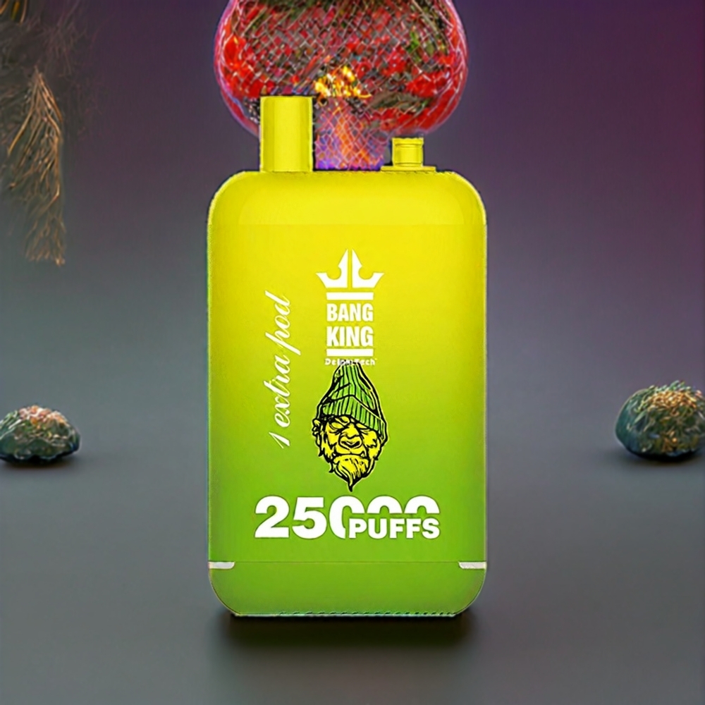Bang King 25000 Puffs France grossiste - Dispositif Jetable Tropical Fruit 46ml 650mAh Dual Pod Système