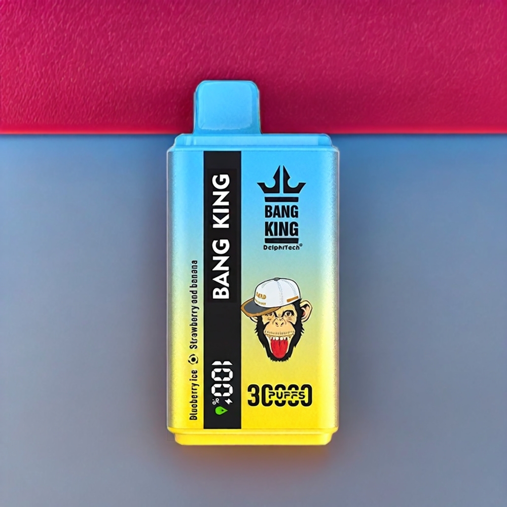 Bang King 30000 Puffs France Grossiste Vape jetable Glace Myrtille Fraise Banane - 36ml, 550mAh, Double Bobine Mesh 1.2Ω, Port Type-C