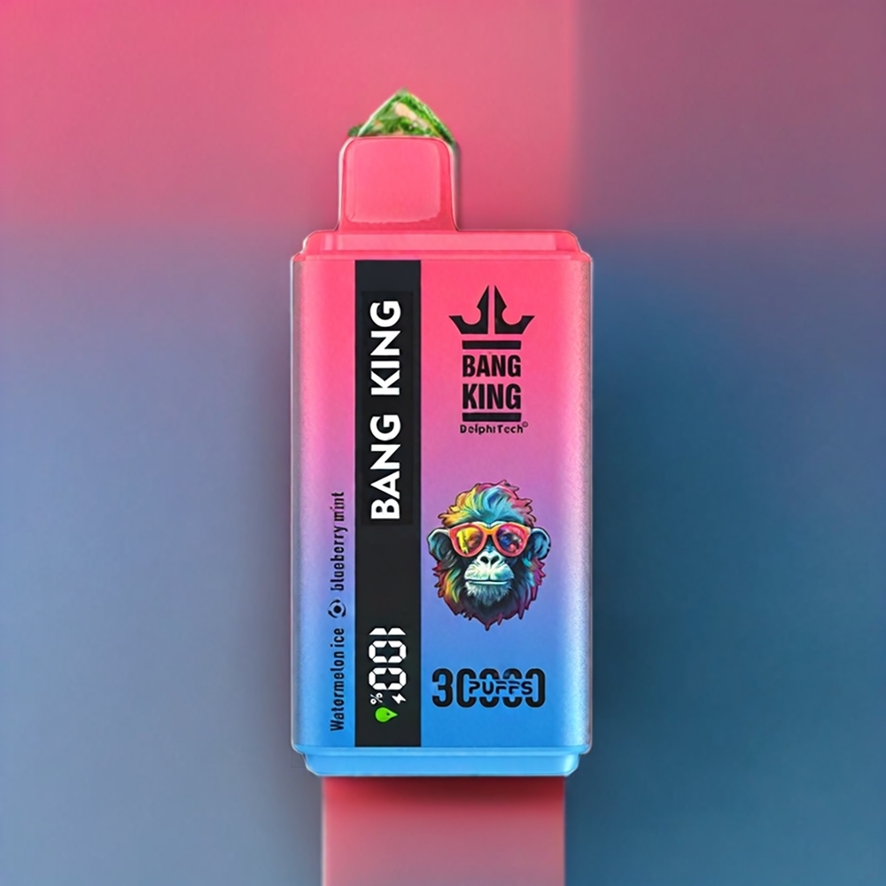 Bang King 30000 Puffs France Grossiste Vape jetable Pastèque Glace Myrtille Menthe