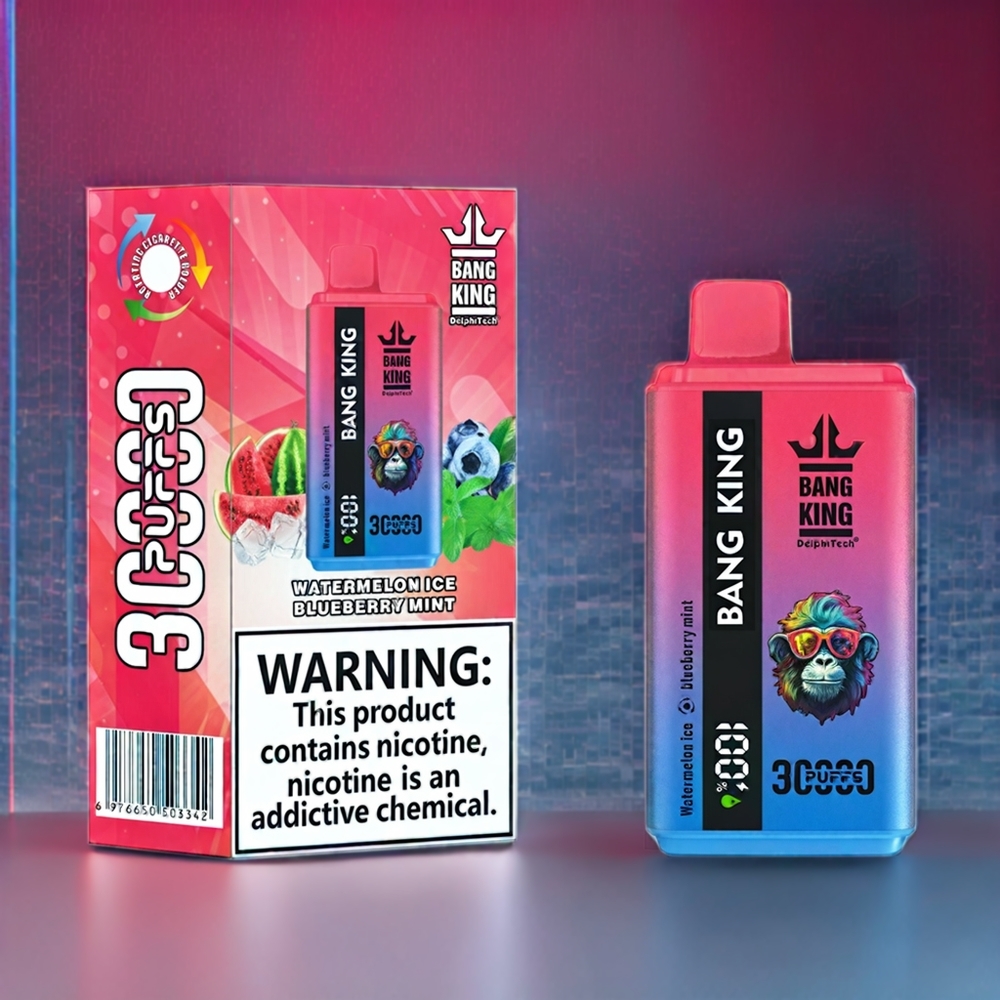 Bang King 30000 Puffs France Grossiste Vape jetable Pastèque Glace Myrtille Menthe