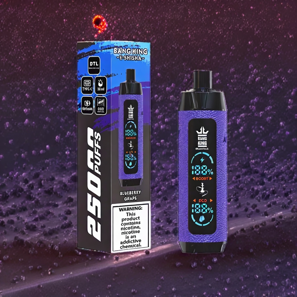 Bang King Shisha 25000 Puffs France Grossiste - Dispositif Jetable 30ml 650 mAh Type-C Myrtille Raisin