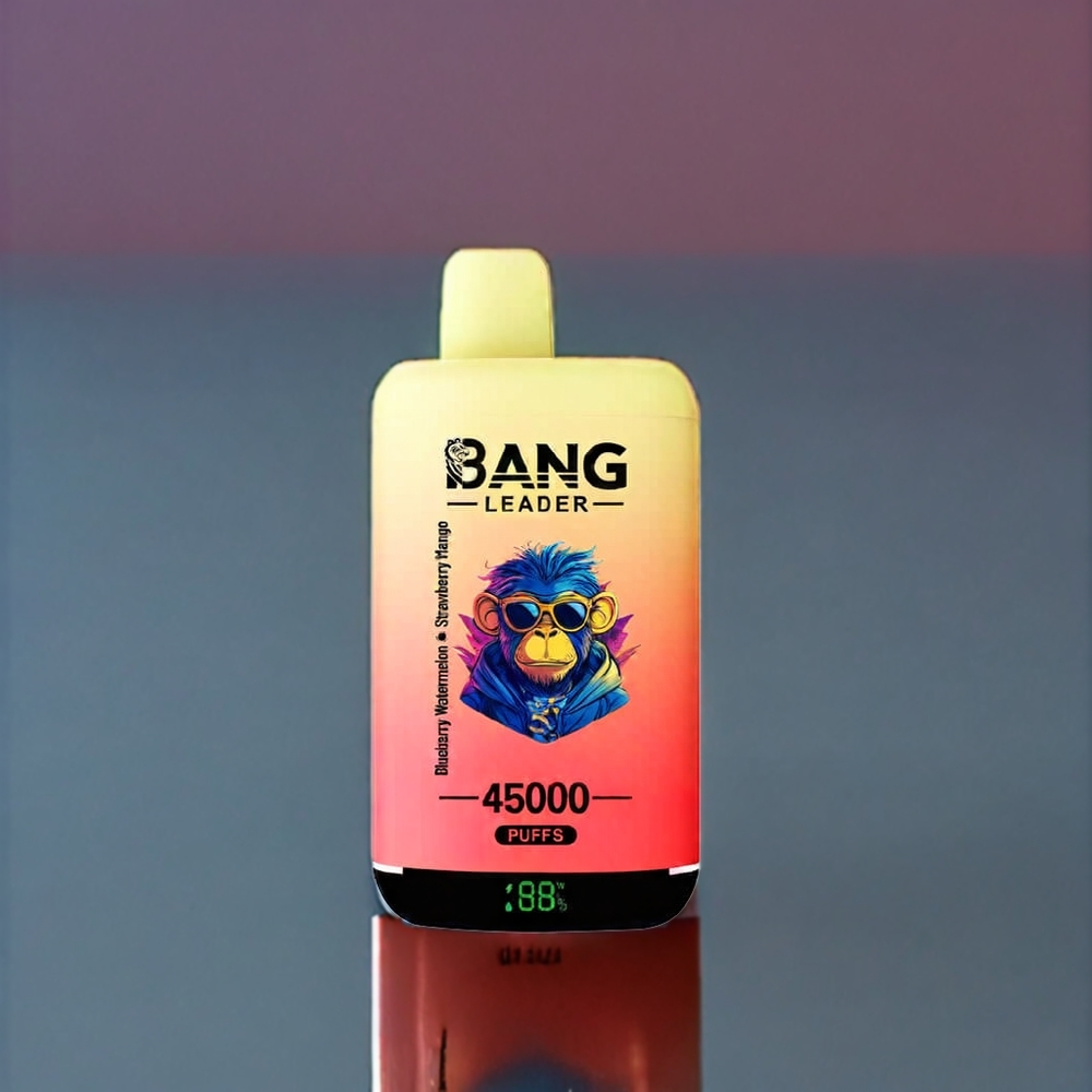 Bang Leader 45000 Puffs France Grossiste - 0% à 5% Nicotine, Écran Intelligent, Port Type-C, Double Saveur Myrtille Pastèque Fraise Mangue