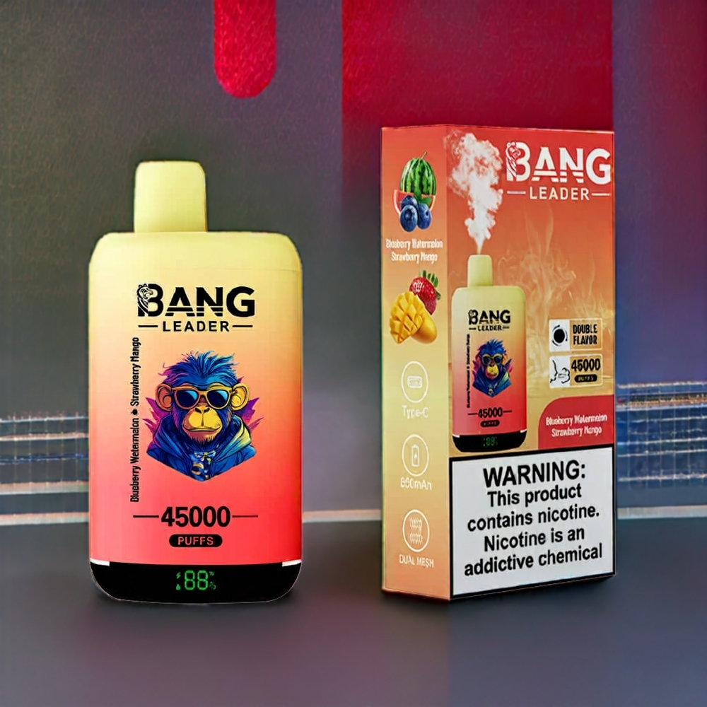 Bang Leader 45000 Puffs France Grossiste - 0% à 5% Nicotine, Écran Intelligent, Port Type-C, Double Saveur Myrtille Pastèque Fraise Mangue