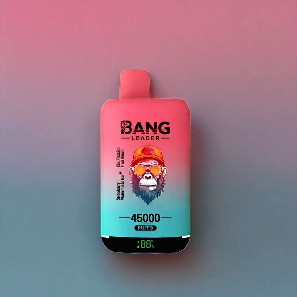 Bang Leader 45000 Puffs France Grossiste - Double Arôme 2-en-1 (Fraise Pastèque Kiwi Fruit de la Passion Goyave) - Écran Intelligent, Port USB Type-C
