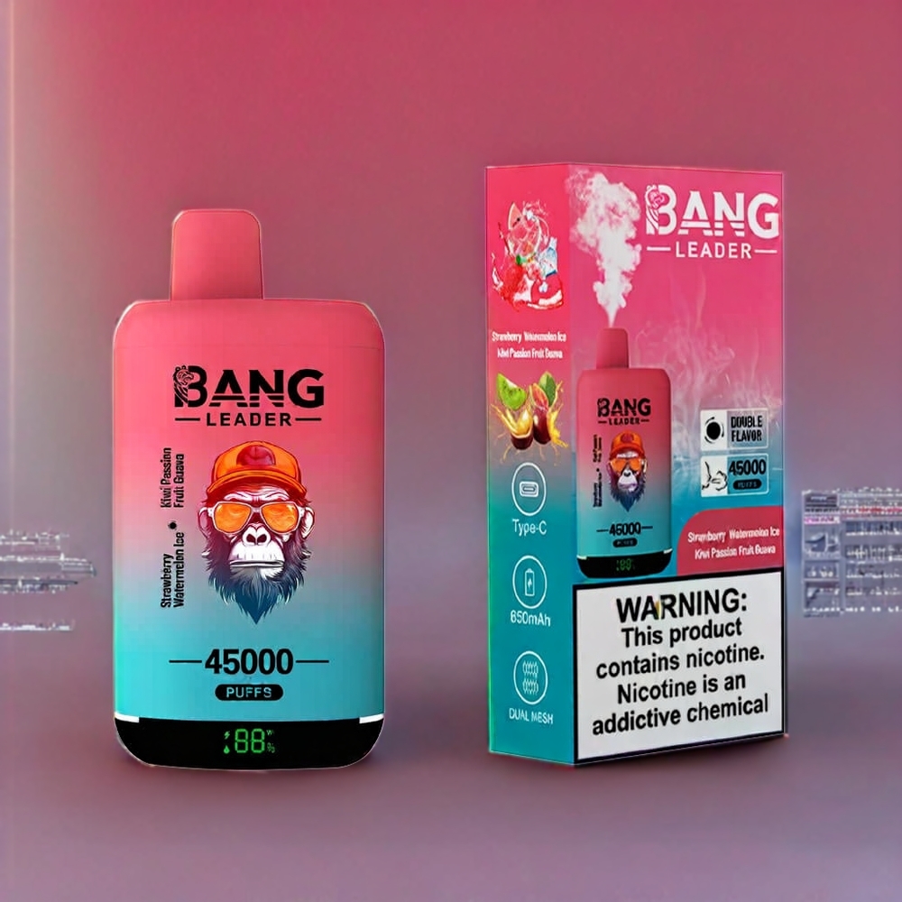 Bang Leader 45000 Puffs France Grossiste - Double Arôme 2-en-1 (Fraise Pastèque Kiwi Fruit de la Passion Goyave) - Écran Intelligent, Port USB Type-C