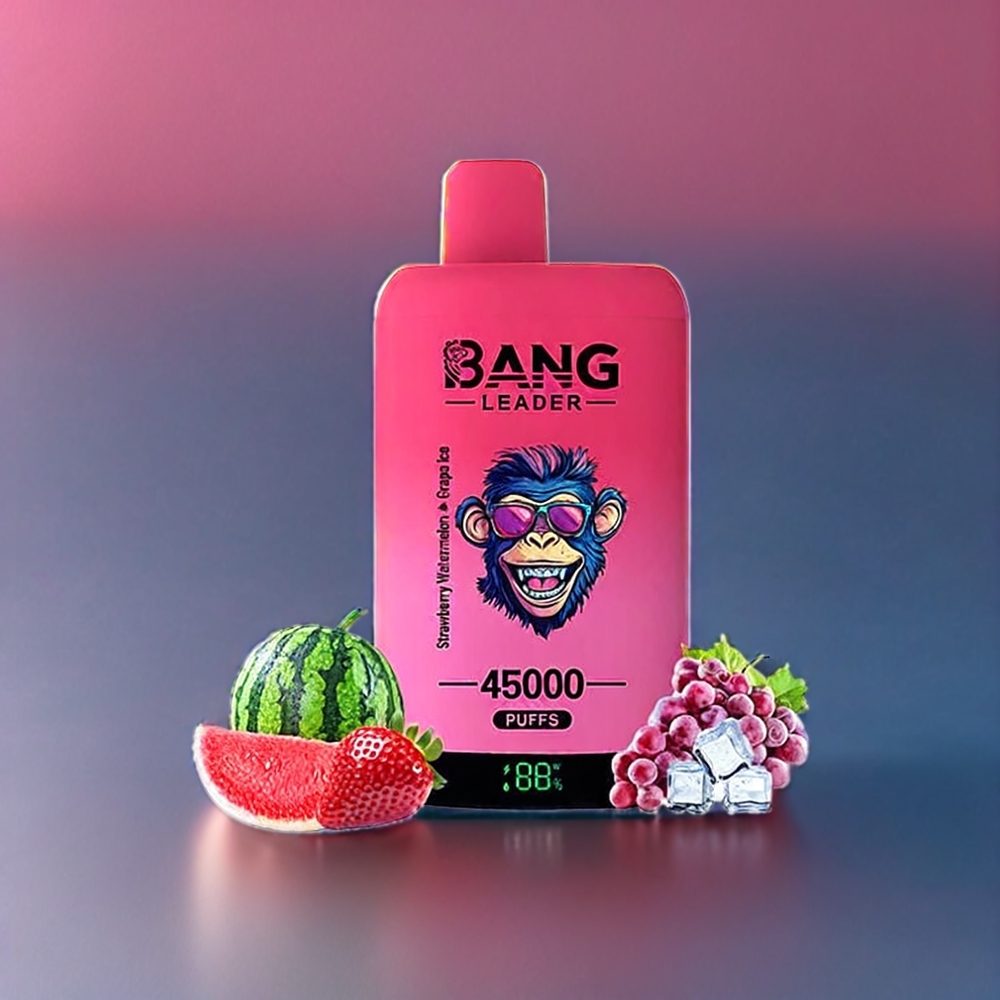 Bang Leader 45000 Puffs France Grossiste - Double Saveur 2-en-1 (Fraise Pastèque Glace) avec Écran Intelligent et Port USB Type-C