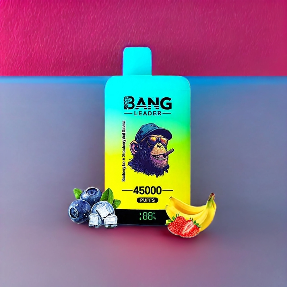 Bang Leader 45000 Puffs France Grossiste - Double Saveur Glace Myrtille Fraise Banane avec Écran Intelligent et Port USB Type-C