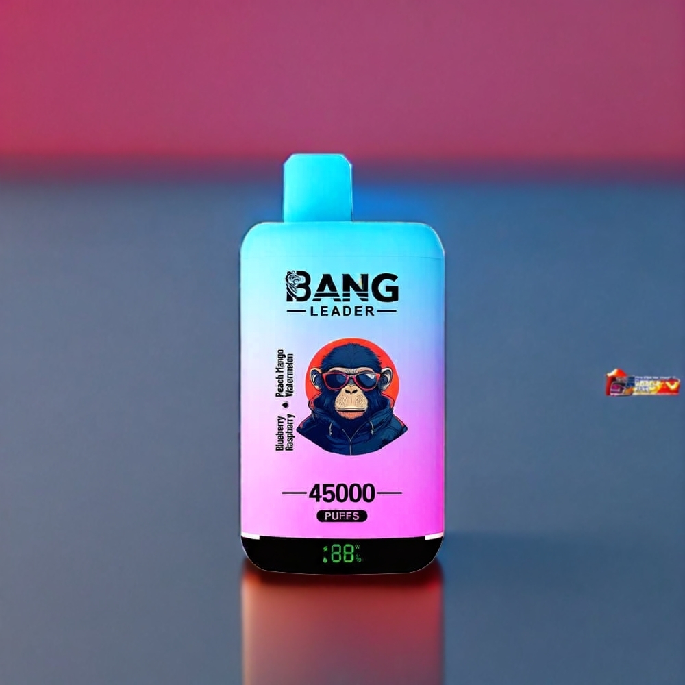 Bang Leader 45000 Puffs France Grossiste - Ecigarette Jetable avec Affichage Intelligent, Port USB Type-C