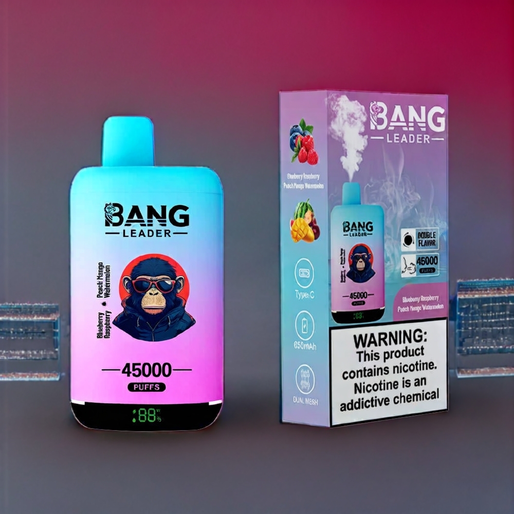 Bang Leader 45000 Puffs France Grossiste - Ecigarette Jetable avec Affichage Intelligent, Port USB Type-C