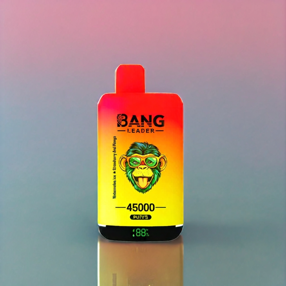 Bang Leader 45000 Puffs France Grossiste - Ecigarette Jetable avec Affichage Intelligent, Port USB Type-C et Double Saveur Glace Pastèque Fraise Mangue