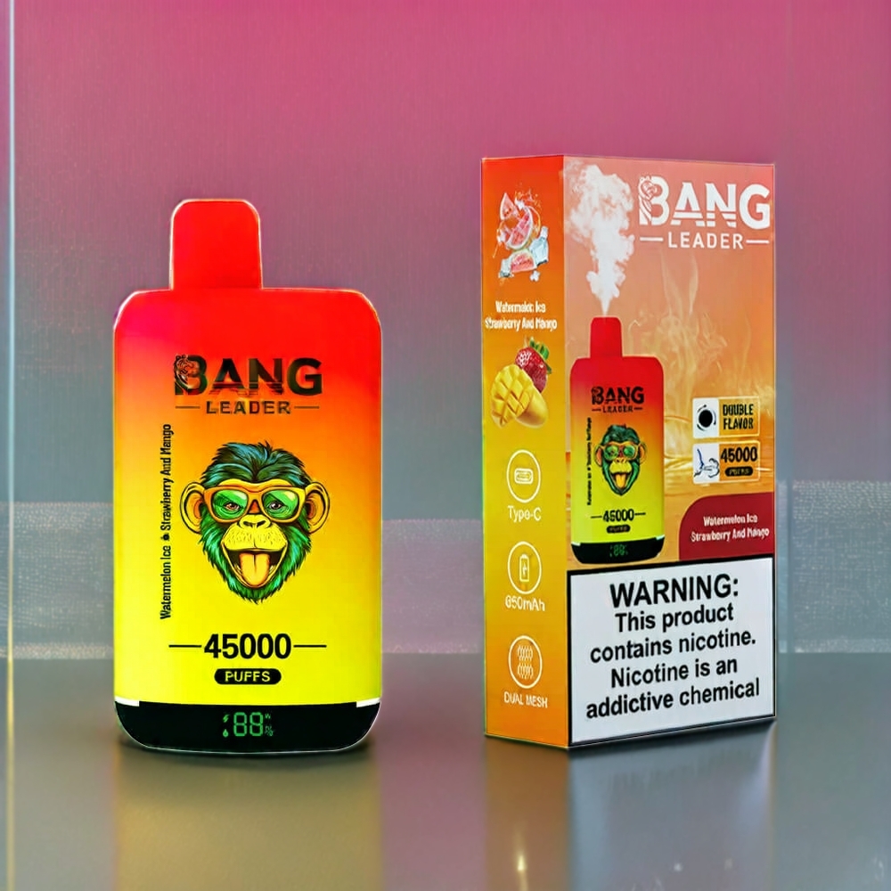 Bang Leader 45000 Puffs France Grossiste - Ecigarette Jetable avec Affichage Intelligent, Port USB Type-C et Double Saveur Glace Pastèque Fraise Mangue