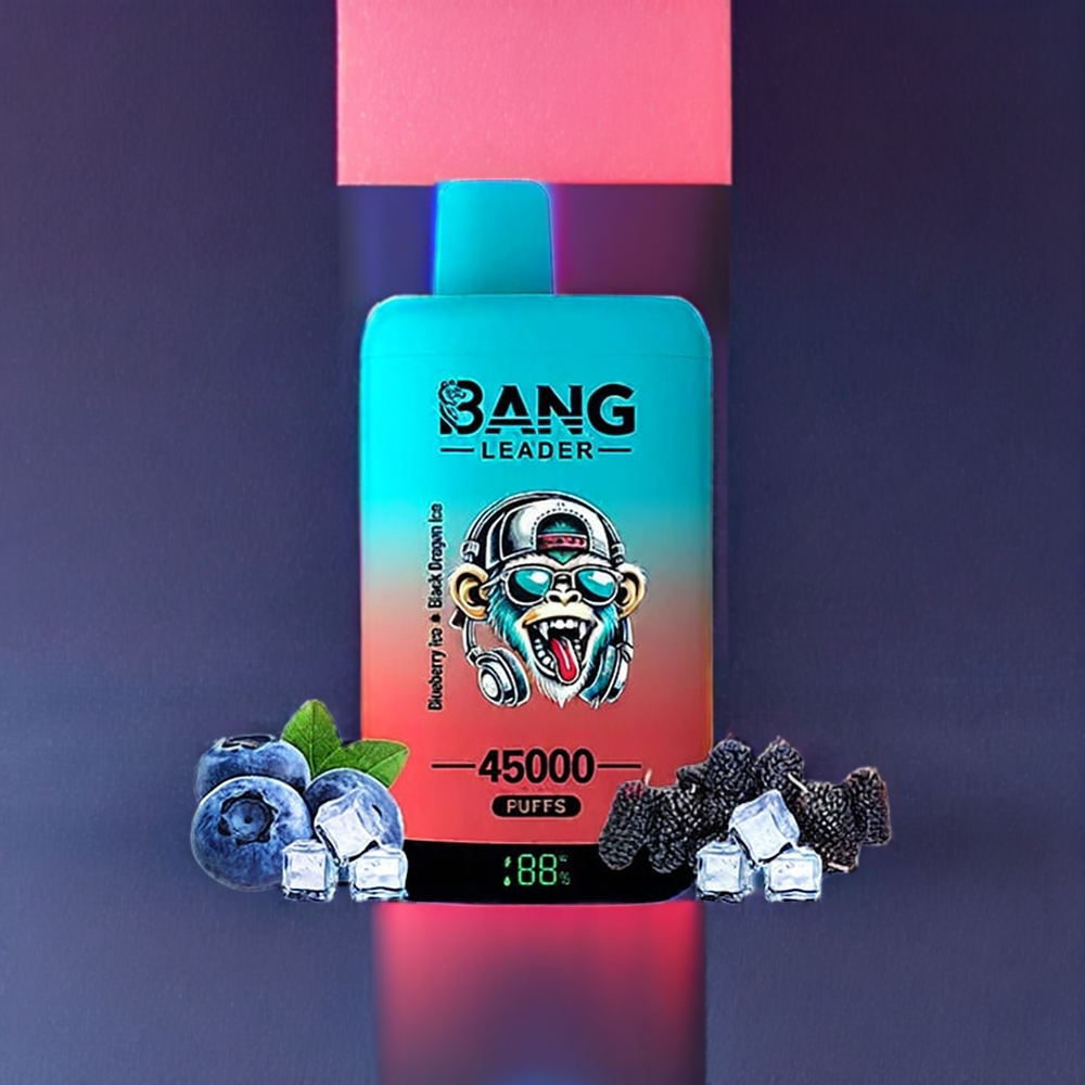 Bang Leader 45000 Puffs France Grossiste - Écran Intelligent, Port Type-C, Double Saveur 2-en-1 (Myrtille Glacée et Dragon Noir Glacé)