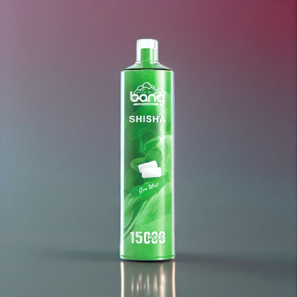 Bang Shisha 15000 Puffs France Grossiste - Dispositif Jetable avec Technologie DTL de Pointe, 23ml E-liquide, Port Type-C, 600mAh, Menthe Givrée (0%,2%,3%,5% Nicotine)