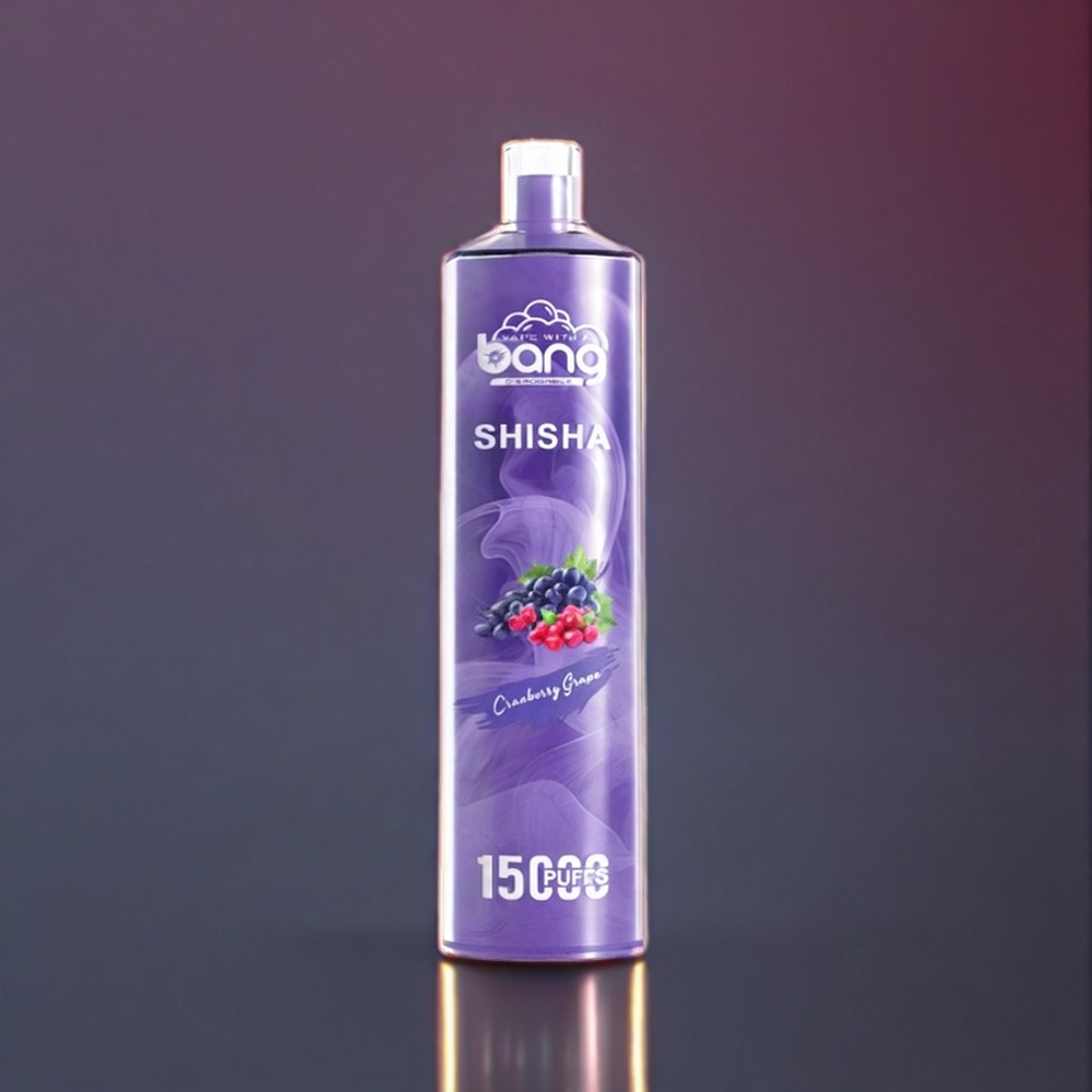 Bang Shisha 15000 Puffs France Grossiste - Dispositif Jetable avec Technologie DTL de Pointe, Port Type-C, et Saveur Canneberge Raisin