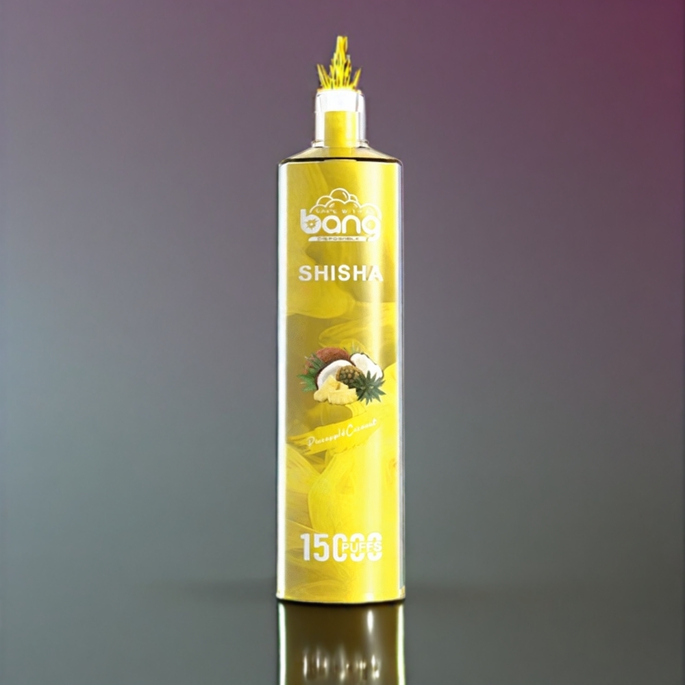 Bang Shisha 15000 Puffs France Grossiste - Dispositif de Vape Jetable avec 23ml de E-liquide, Port de Charge Type-C, Technologie DTL Avancée et Saveur Ananas Coco