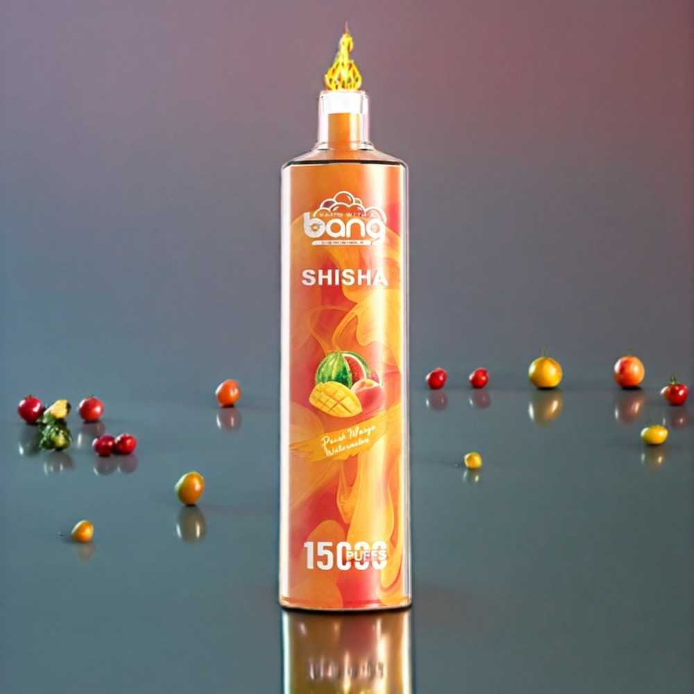 Bang Shisha 15000 Puffs France Grossiste - Pêche Mangue Pastèque, 23ml E-liquide, Port Type-C, Technologie DTL de Pointe
