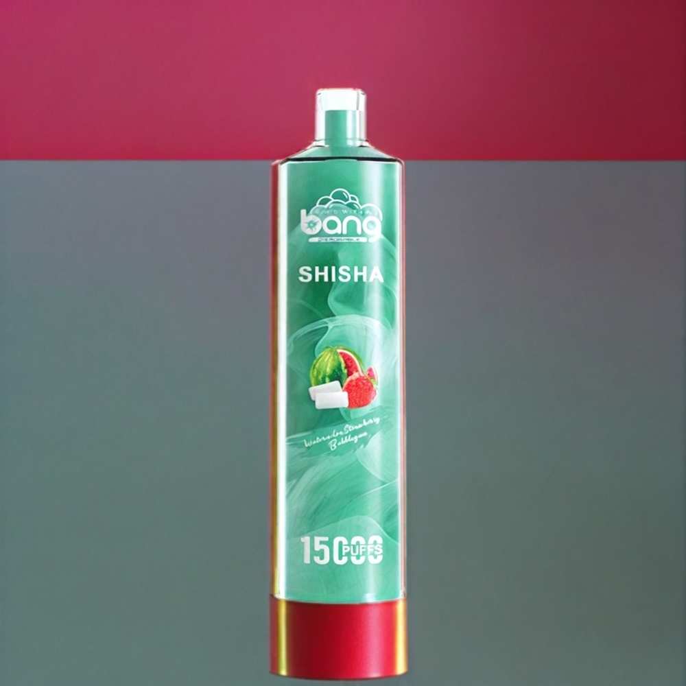 Bang Shisha 15000 Puffs France Grossiste - Pastèque Fraise Bubblegum - 23ml E-liquide, Port Type-C, 600mAh, Technologie DTL Avancée