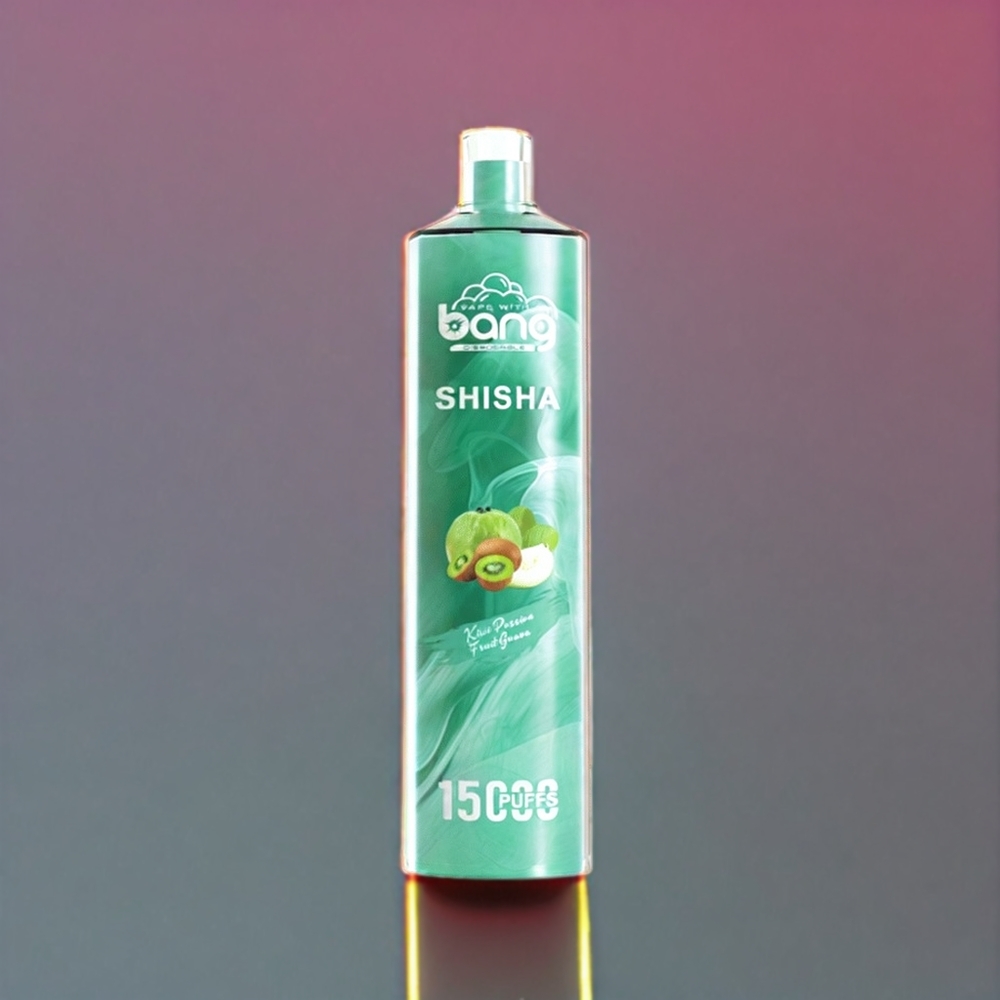 Bang Shisha 15000 Puffs France Grossiste Vape jetable Kiwi Fruit de la Passion Goyave avec 23ml E-liquide et Port de Charge Type-C