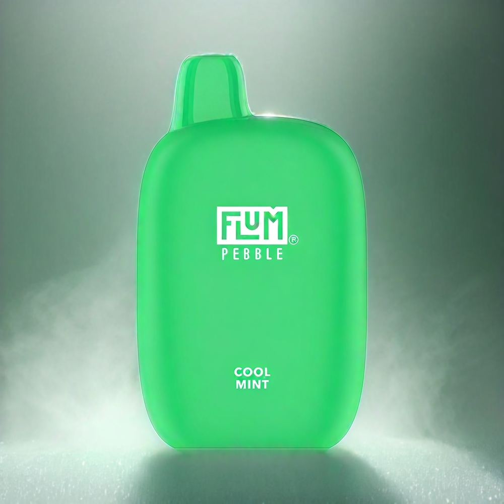 Flum Pebble 6000 France Grosiste - 10 ml, 5% de nicotine, bobine de maille, Menthe Fraîche
