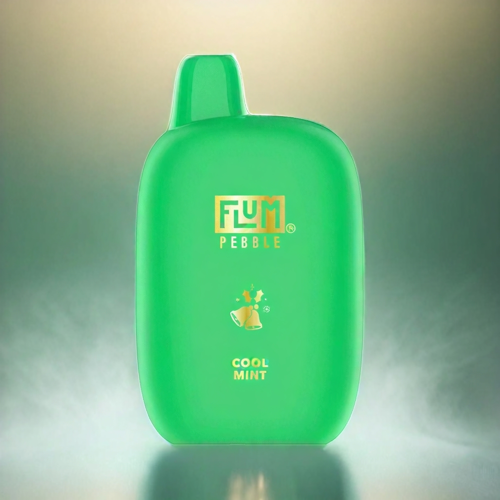 Flum Pebble 6000 France Grosiste - 10 ml, 5% de nicotine, bobine de maille, Menthe Fraîche