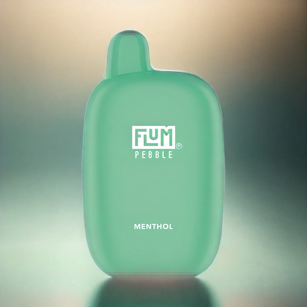Flum Pebble 6000 France Grosiste - 10 ml e-liquide 5% Nicotine Avec Bobine Mesh et rechargeable Type-C (Menthe)