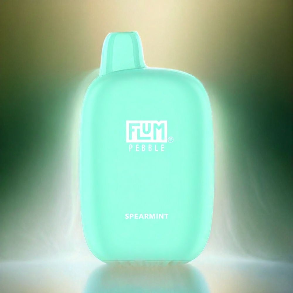 Flum Pebble 6000 France Grossiste AVEC 10ml ET 5% de nicotine, Type-C rechargeable, SEAUR SPEARMINT (Menthe Verte)