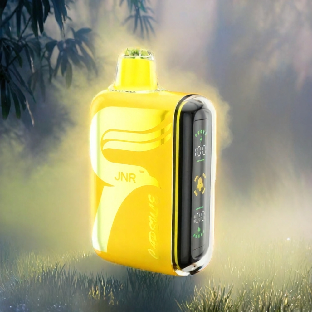 Jnr Capsule 15000 Puffs France Grosiste AVEC Batterie 850mAh, Ecran LED Intelligent et Double Mesh Coil Taopical Punch