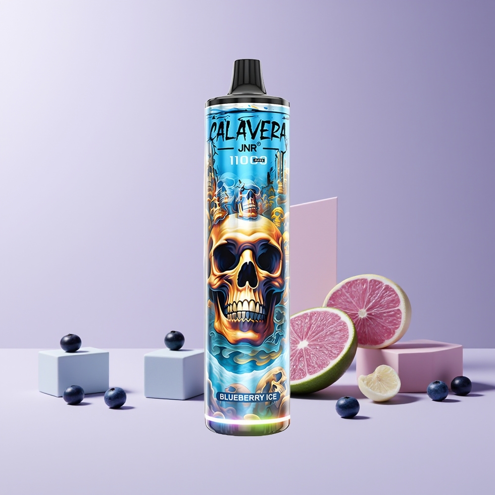 JNR Calavera 11000 Puffs France Grossiste - Port Type-C, Batterie 850 mAh, 21ml E-Liquide, 0%/2%/5% Nicotine, Myrtille Glacée