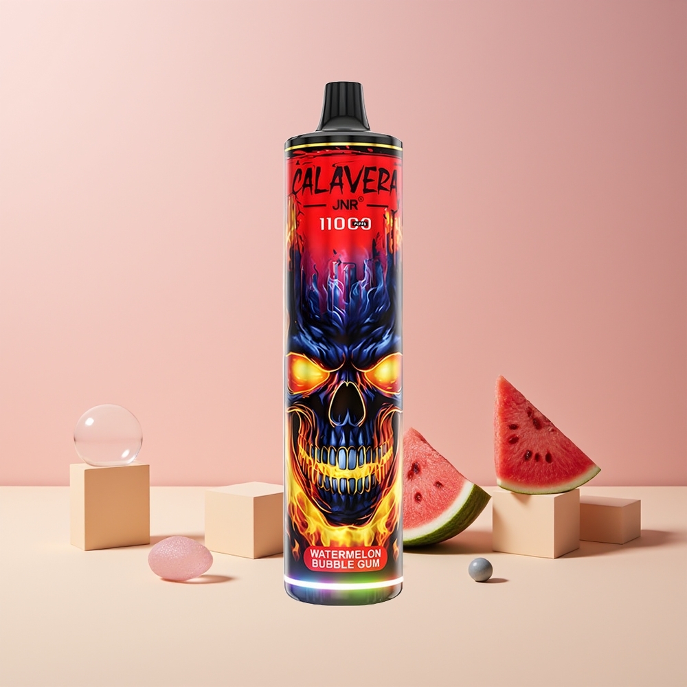 JNR Calavera 11000 Puffs France Grossiste - Port Type-C, Batterie 850 mAh, 21ml E-Liquide, Coil Mesh 1.0ohm, Pastèque Chewing-Gum