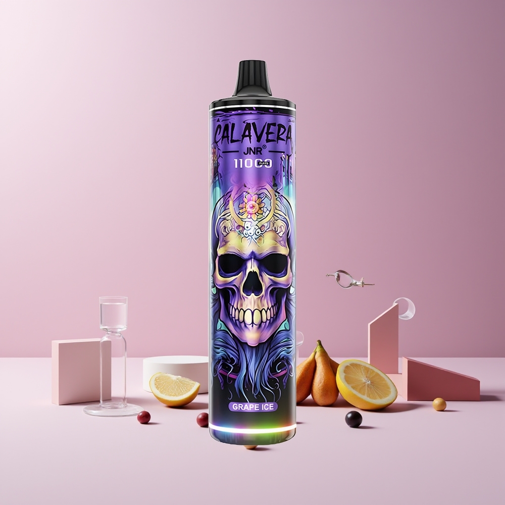 JNR Calavera 11000 Puffs France Grossiste - Recharge Type-C, 850mAh, 21ml, Glace Raisin