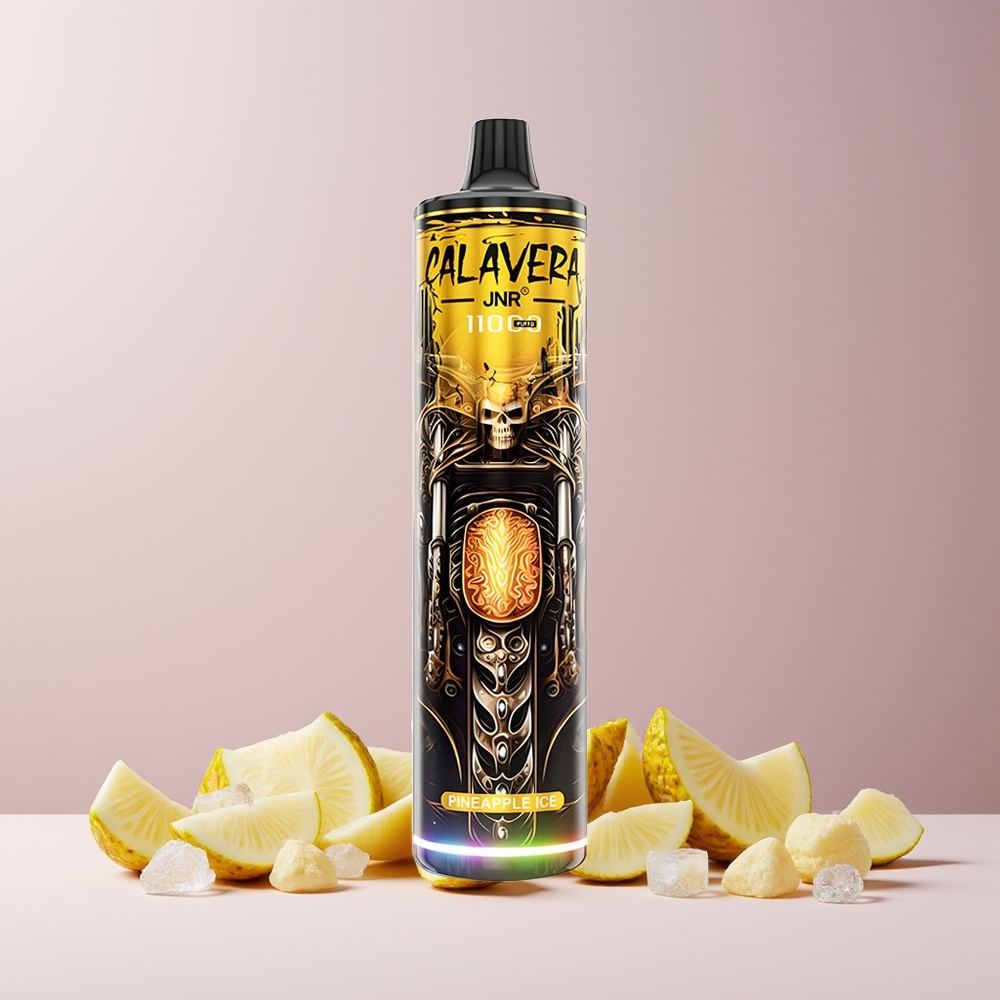 JNR Calavera 11000 Puffs France Grossiste avec Port Type-C, Batterie 850 mAh et Ananas Glacé