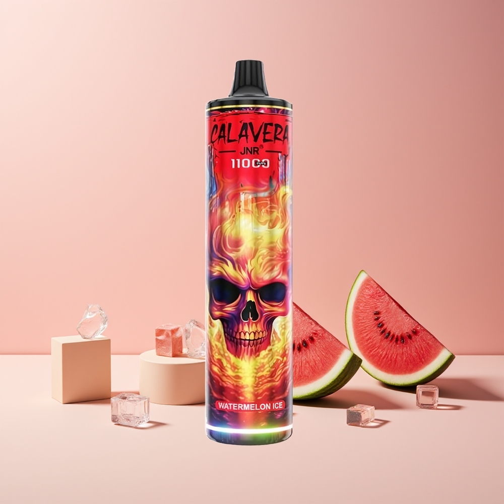 JNR Calavera 11000 Puffs France grossiste - Dispositif Jetable avec Port Type-C, Batterie 850 mAh, 21ml E-Liquide, Coil Mesh 1.0ohm, Pastèque Glacée