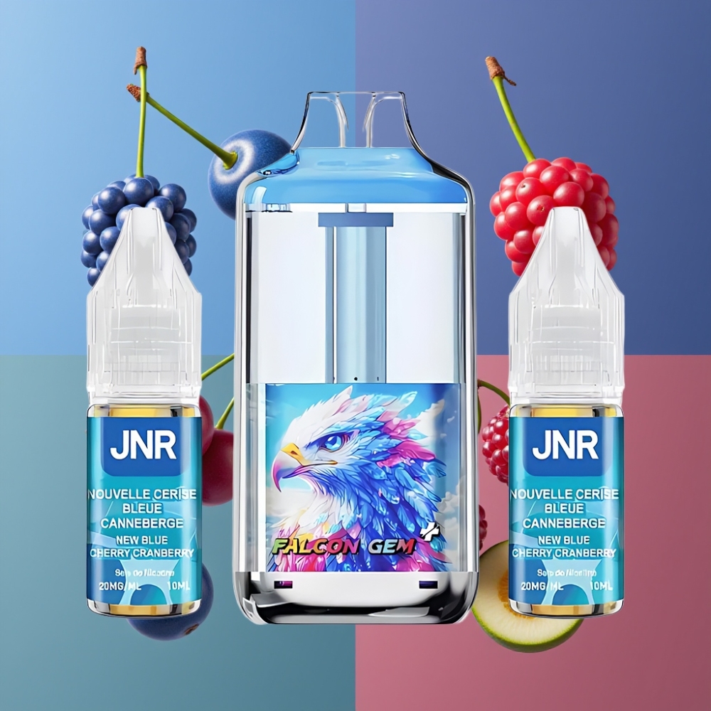 JNR Falcon GEM⁺ 30000 Puffs France grossiste Pod Vape Rechargeable avec Réservoir Visible, Écran de Batterie, 2 10ml E-liquide, Type-C, Saveur Bleu Cerise Cranberry