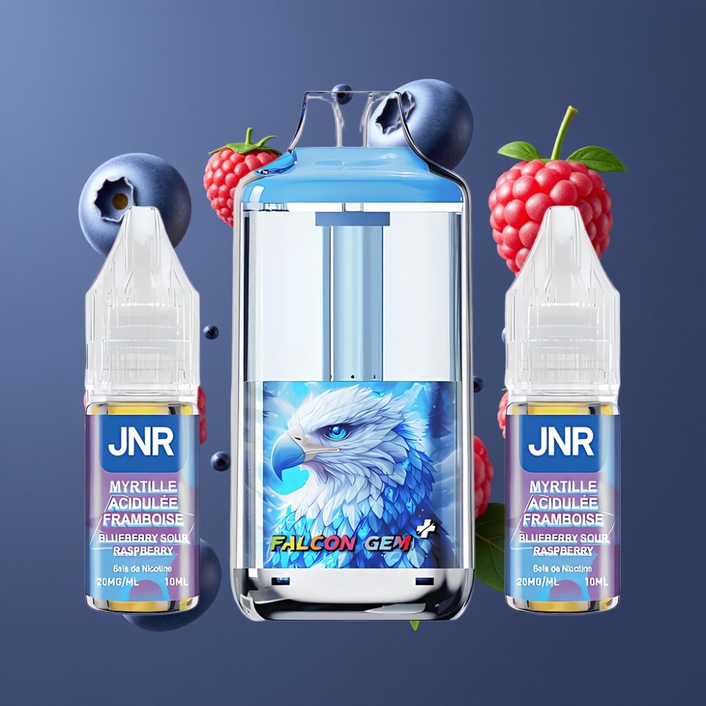JNR Falcon GEM⁺ 30000 Puffs France grossiste Pod Vape Rechargeable avec Réservoir Visible, Écran de Batterie et 2 10ml E-liquide (Myrtille Framboise Acidulée)